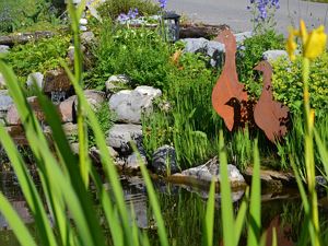Teich vor dem Haus