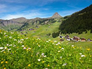 Uga mit Hausberg Mittagspitze