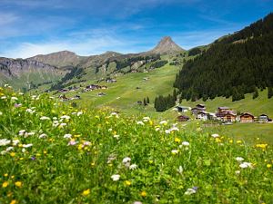 Landscape_HKR_9995_1.jpg.3430154