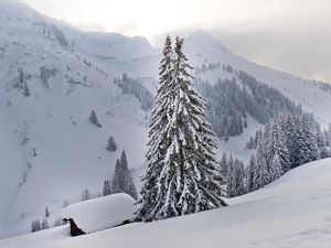 Winterlandschaft in Damüls (c) Huber Images - Damü