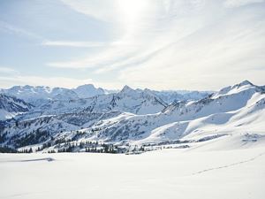 Winterlandschaft, Skigebiet Damüls-Mellau (c) Alex