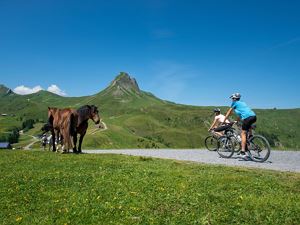 biker-und-pferde-auf-der-elsenalp