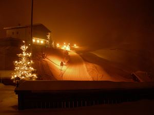Faschina im Winter