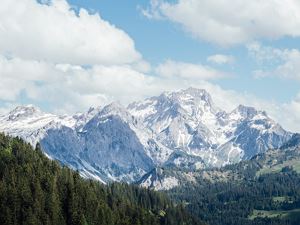 BSFL0716_websize