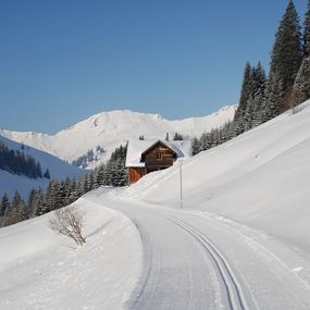 Damüls | the Damüls alpine circuit