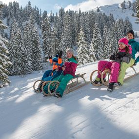 Damüls | Natur-Rodelbahn Uga